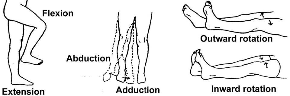 hip motions